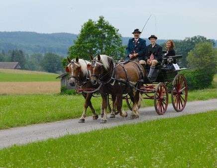 Location de calèche, mariage, balade